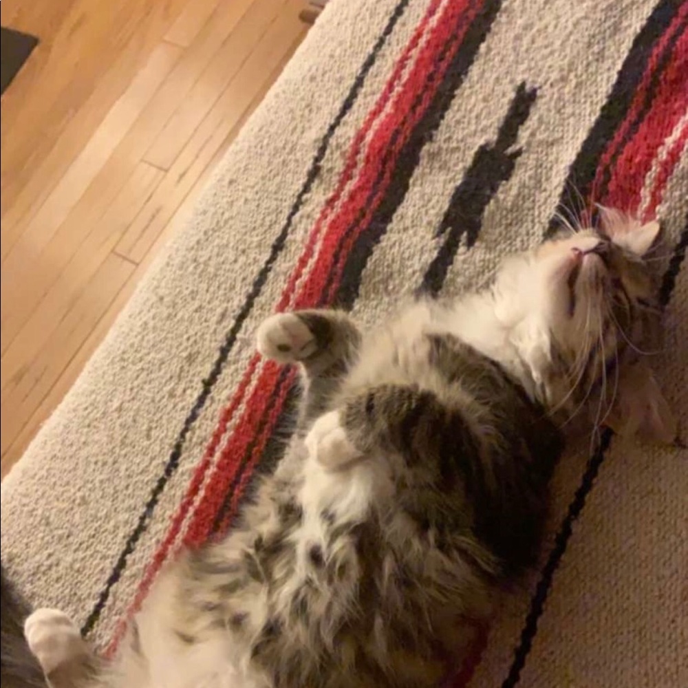 Meet your Posher, Jas